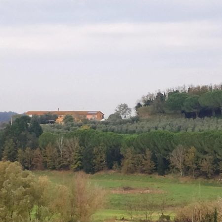 Agriturismo L'Isola Crespina ภายนอก รูปภาพ