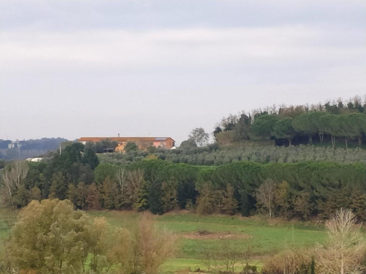 Agriturismo L'Isola Crespina ภายนอก รูปภาพ
