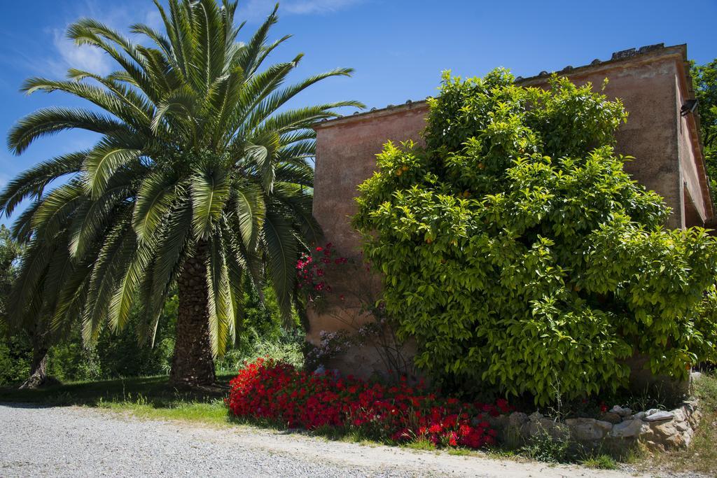 Agriturismo L'Isola Crespina ห้อง รูปภาพ