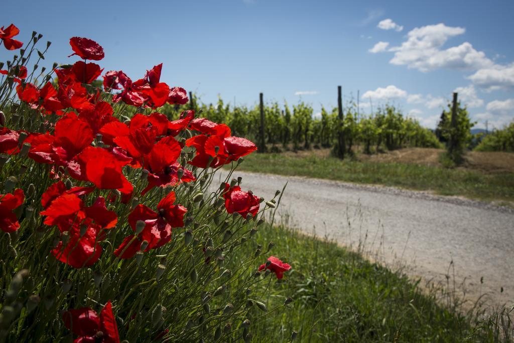 Agriturismo L'Isola Crespina ภายนอก รูปภาพ