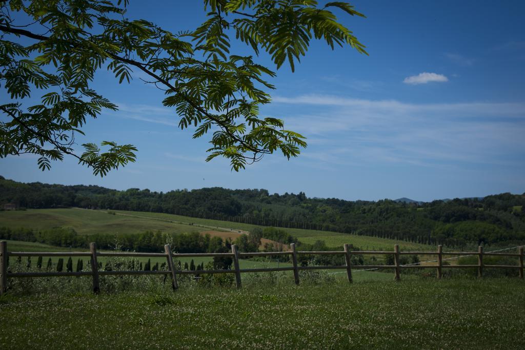 Agriturismo L'Isola Crespina ห้อง รูปภาพ