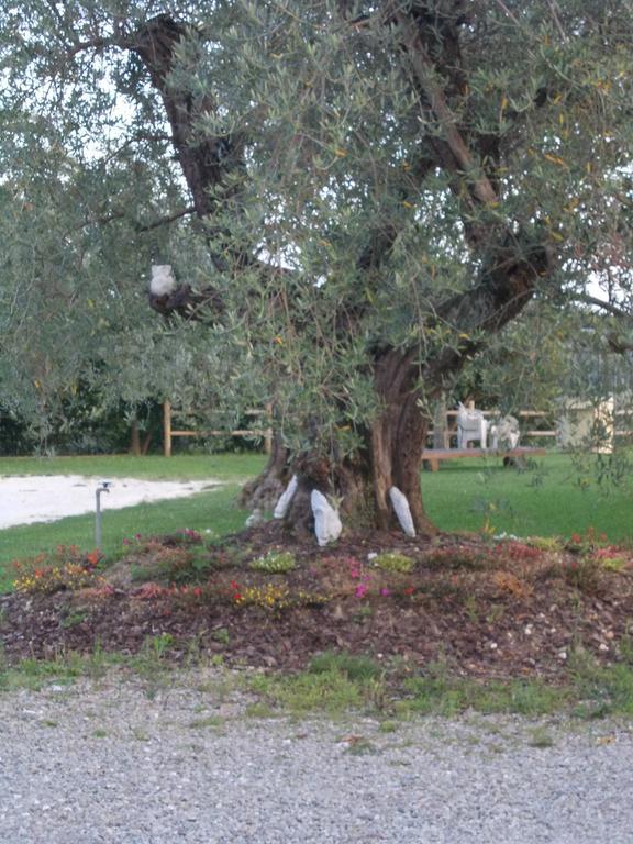 Agriturismo L'Isola Crespina ห้อง รูปภาพ