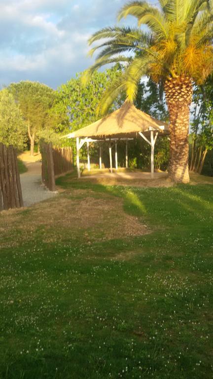 Agriturismo L'Isola Crespina ภายนอก รูปภาพ