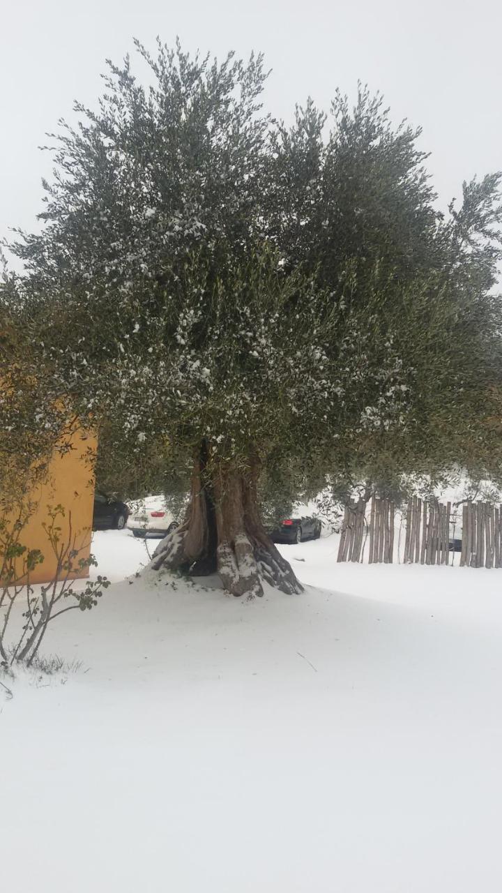 Agriturismo L'Isola Crespina ภายนอก รูปภาพ
